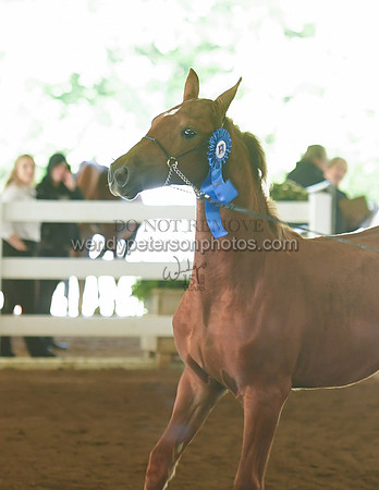 075_2276-Do_not_copy_PROOF