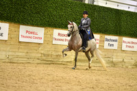 67 A Country English Pleasure Novice Horse