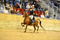 106 HA/AA English Show Hack Open