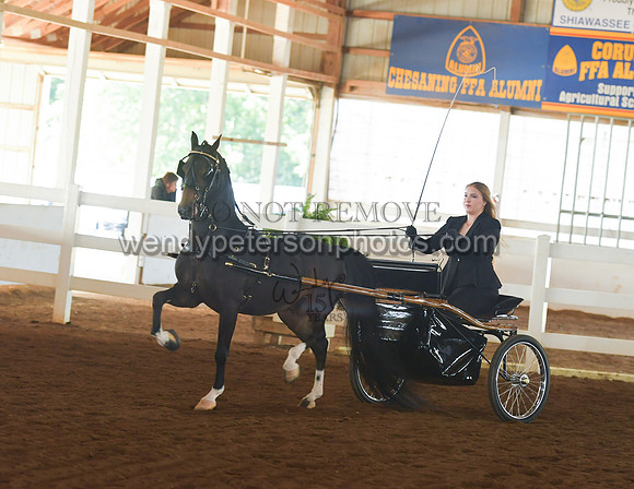 055_2343-Do_not_copy_PROOF