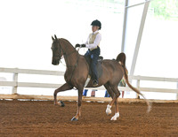 64. Academy Showmanship W/T/C, Adult Am.