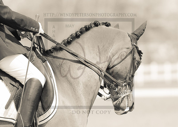 2016AHAM_May-6808PROOF
