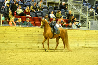 89 Saddle Seat Eq 10 & Under