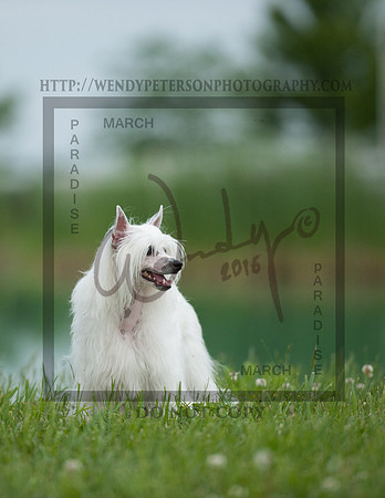 2016Paradise-941PROOF