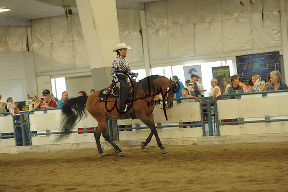 WP2_4448