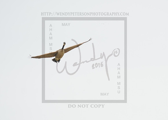 2016AHAM_May-6690PROOF