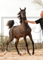 Krichke Training Center