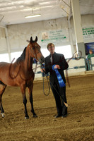 1 HA/AA Mare Breeding ATH