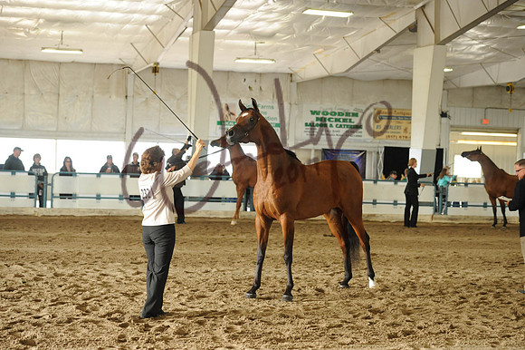 007_1389-PROOF_Do_not_copy
