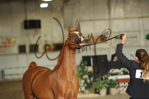007_1469-PROOF_Do_not_copy