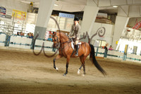 2017 WMAHA Fall Classic & Great Lake Futurity