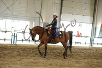 22 Arabian Western Pleasure + JTR