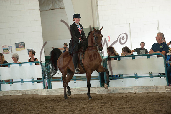 146_3009-PROOF_Do_not_copy