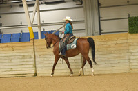 420 Arabian Ranch Horse Riding Open
