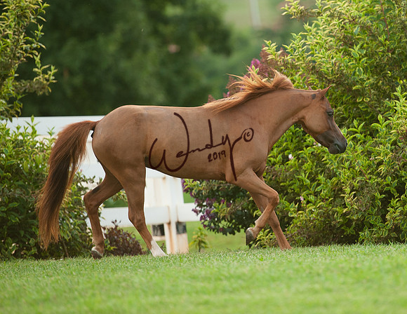 2021Wahl7-2406-PROOF_Do_not_copy