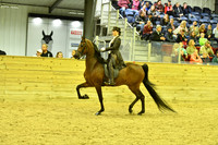 98 AHA Saddle Seat Medal JTR