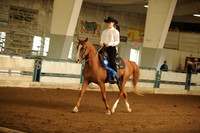 201. Arabian Ranch Riding – ATR