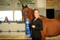 Halter Classes