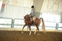 6. Arabian Hunter Pleasure – Maiden Horse