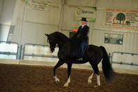 11. HA/AA Ladies Side Saddle
