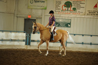 14. Academy - Intermediate hunt seat equitation, walk/trot/canter all ages