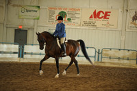 18. HA/AA Hunter Pleasure – Geldings – ATR