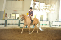 24. Academy - Hunter pattern walk/trot/canter all ages