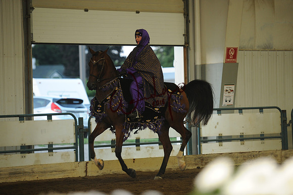 046_8084