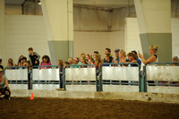 40. DOG RACE