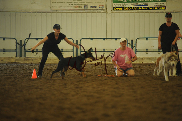 DOG_8010