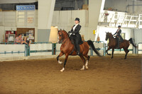 65. Saddle Seat Equitation 14-18