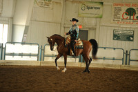 68. Arabian Western Pleasure Geldings