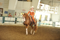 79. Arabian Western Pleasure – Mares & Stallions – ATR