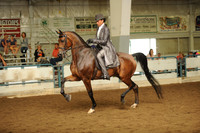 83. UPHA Challenge Cup Saddle Seat Equitation – 17 & Under