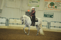 101. HA/AA Western Pleasure – ATR
