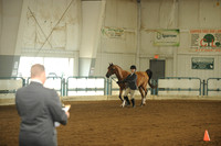 120. SHOWMANSHIP AT HALTER CHAMPIONSHIP