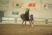 Sidesaddle Classes