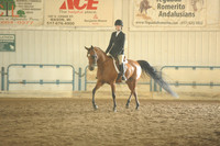 126. Arabian Hunter Pleasure – JOTR 14-18
