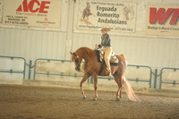 141. HA/AA WESTERN PLEASURE CHAMP. – AATR