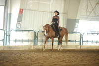 150. ARABIAN WESTERN PLEASURE CHAMP. – JTR