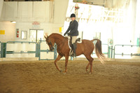 157. ARABIAN HUNTER PLEASURE CHAMP. - Open