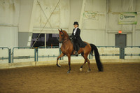105. HA/AA Country Pleasure Junior Horse