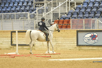 409 HA:AA English Trail Horse ATR