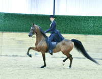 39 HA Open