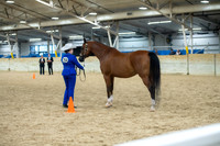 36 Showmanship ATH
