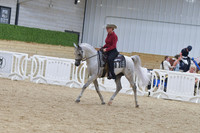 678 A:HA:AA Western Dressage Hack Open