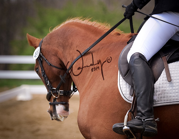 2019AHAM-0671Proof_Do_Not_Copy