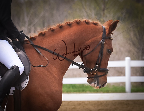 2019AHAM-0688Proof_Do_Not_Copy