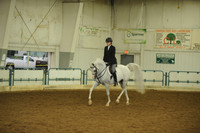 104. Arabian Hunter Pleasure Select Rider ATR