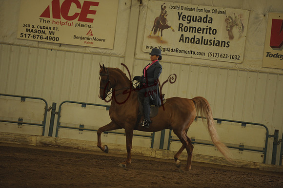 110_8141